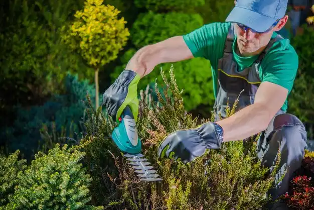 landscaping services Empire